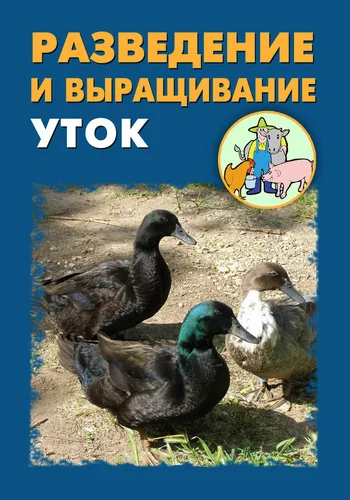 Обложка Разведение и выращивание уток