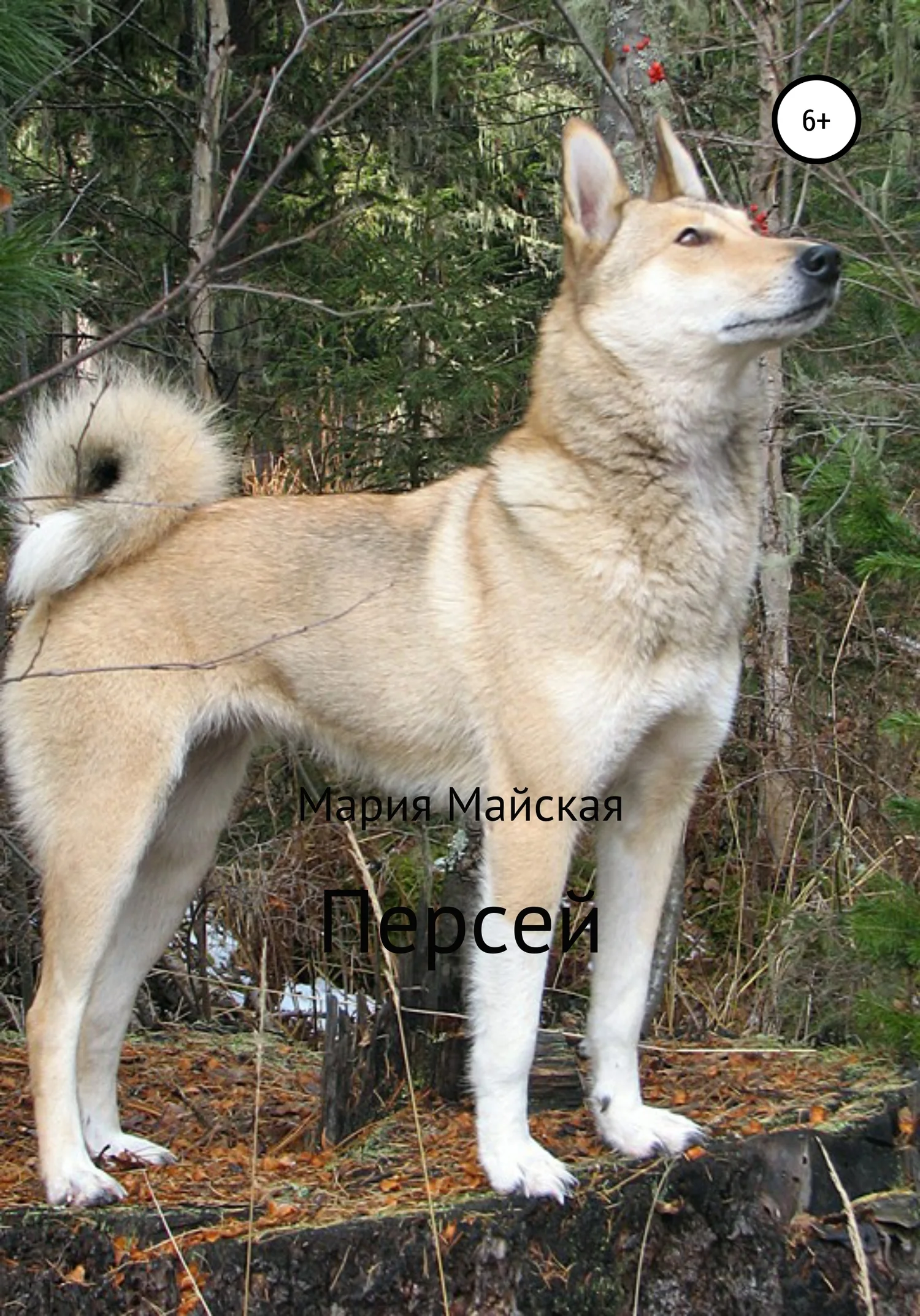 Обложка Персей