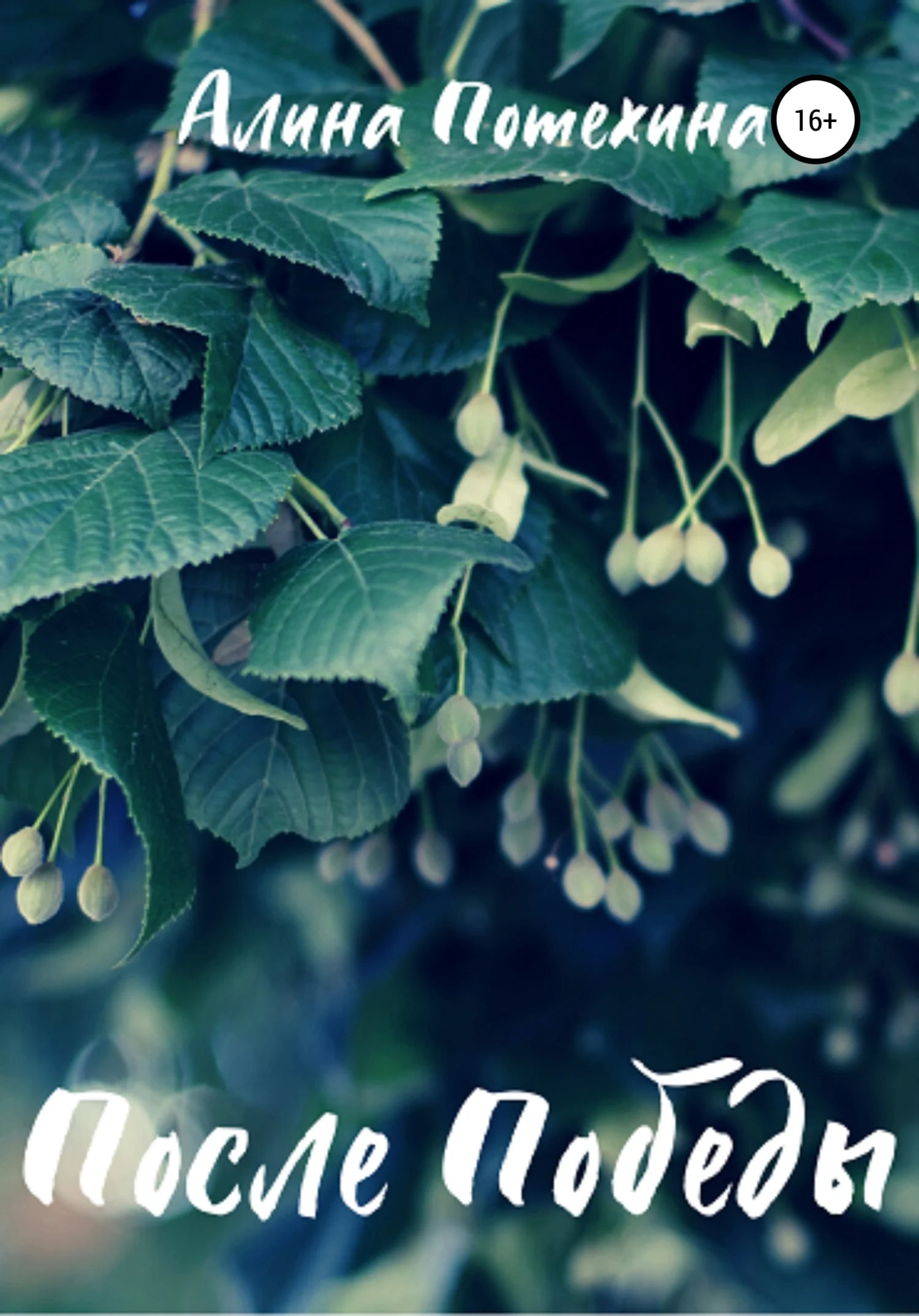 Обложка После Победы