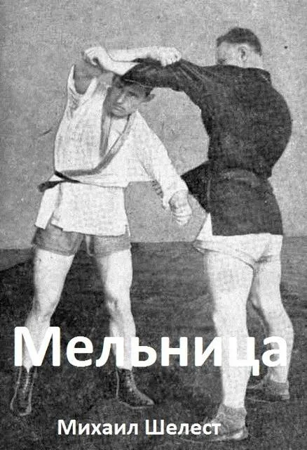 Обложка Мельница 3