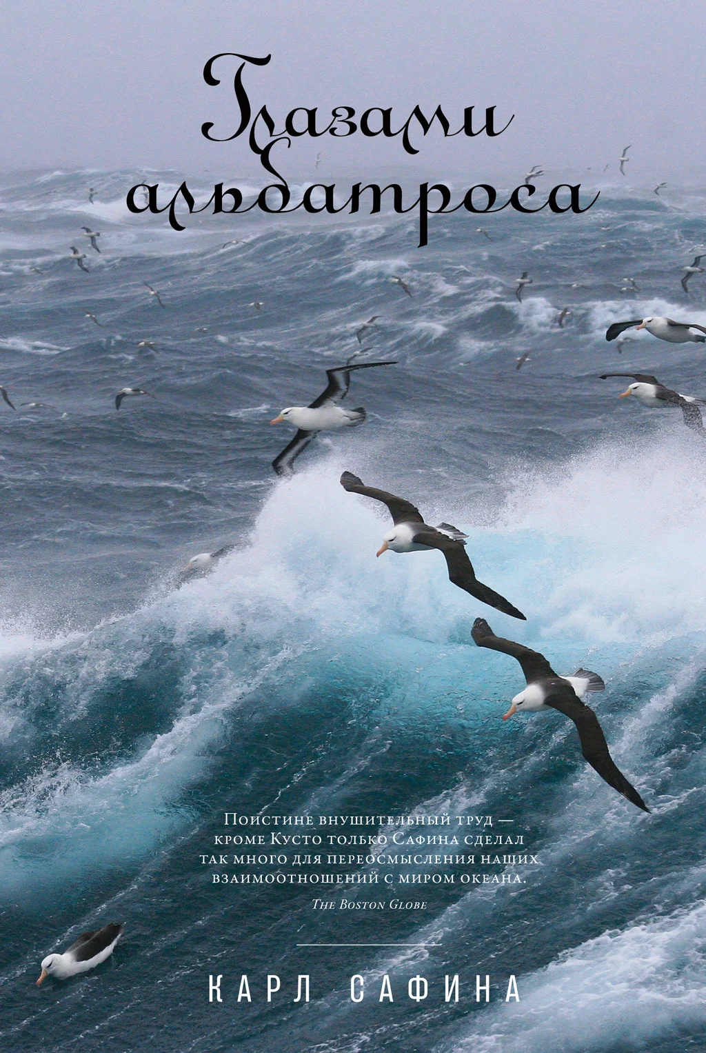 Обложка Глазами альбатроса