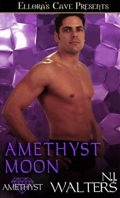 Обложка Аметистовая луна