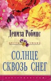 Обложка Солнце сквозь снег