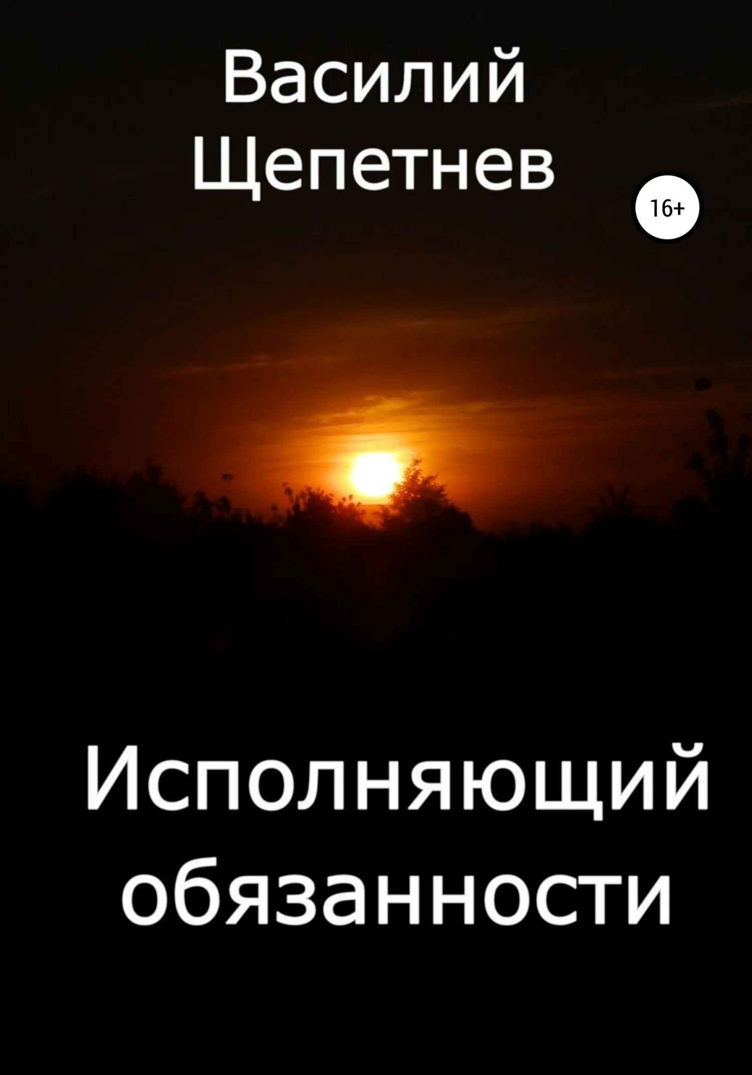 Обложка Исполняющий обязанности