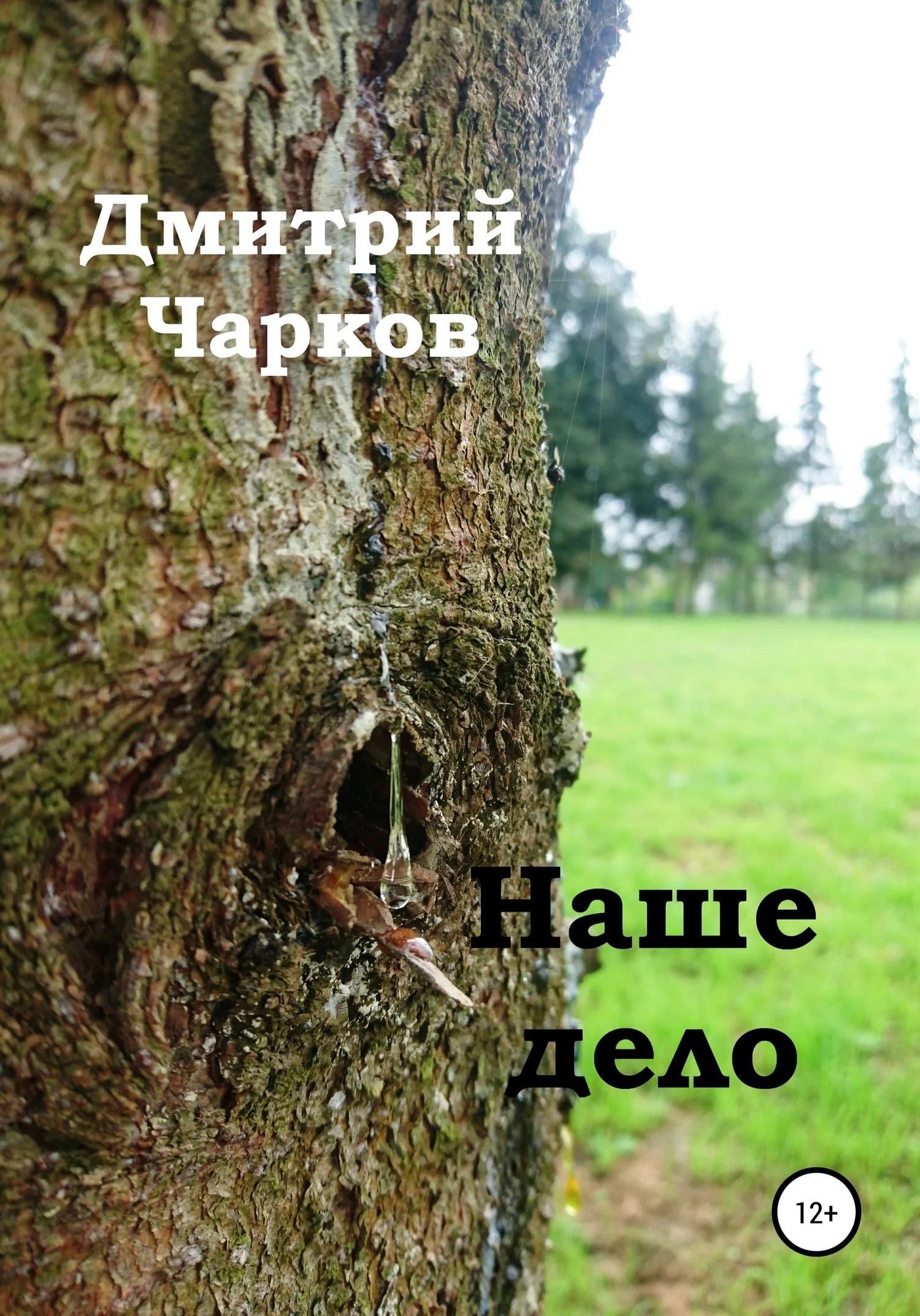 Обложка Наше дело