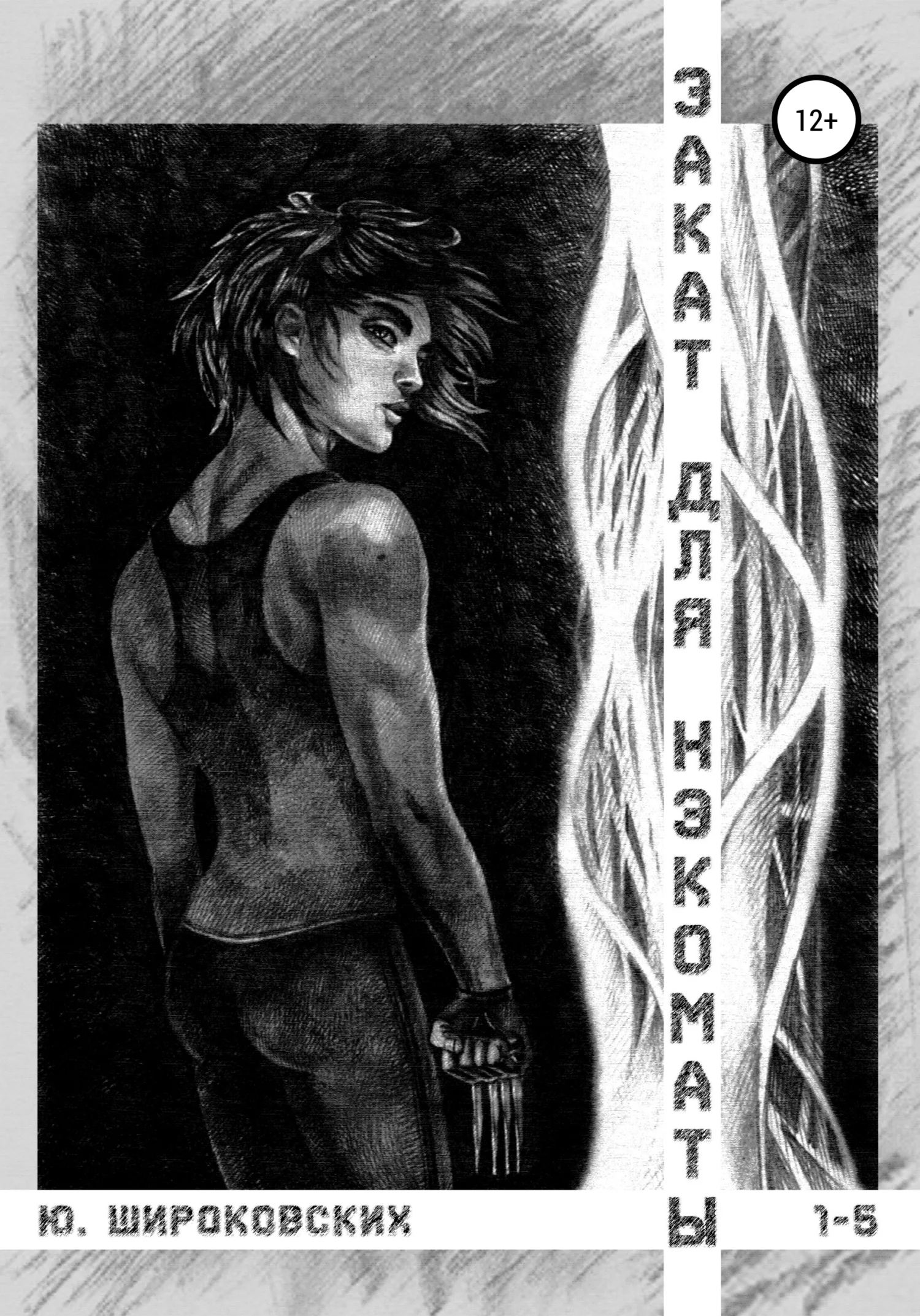 Обложка Закат для Нэкоматы 1-5