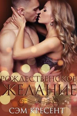 Обложка Рождественское желание