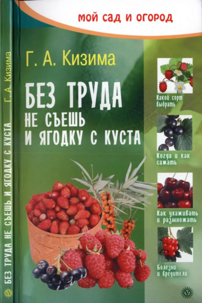 Обложка Без труда не съешь и ягодку с куста