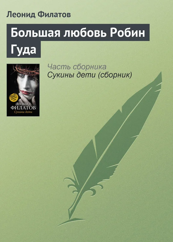 Обложка Большая любовь Робин Гуда