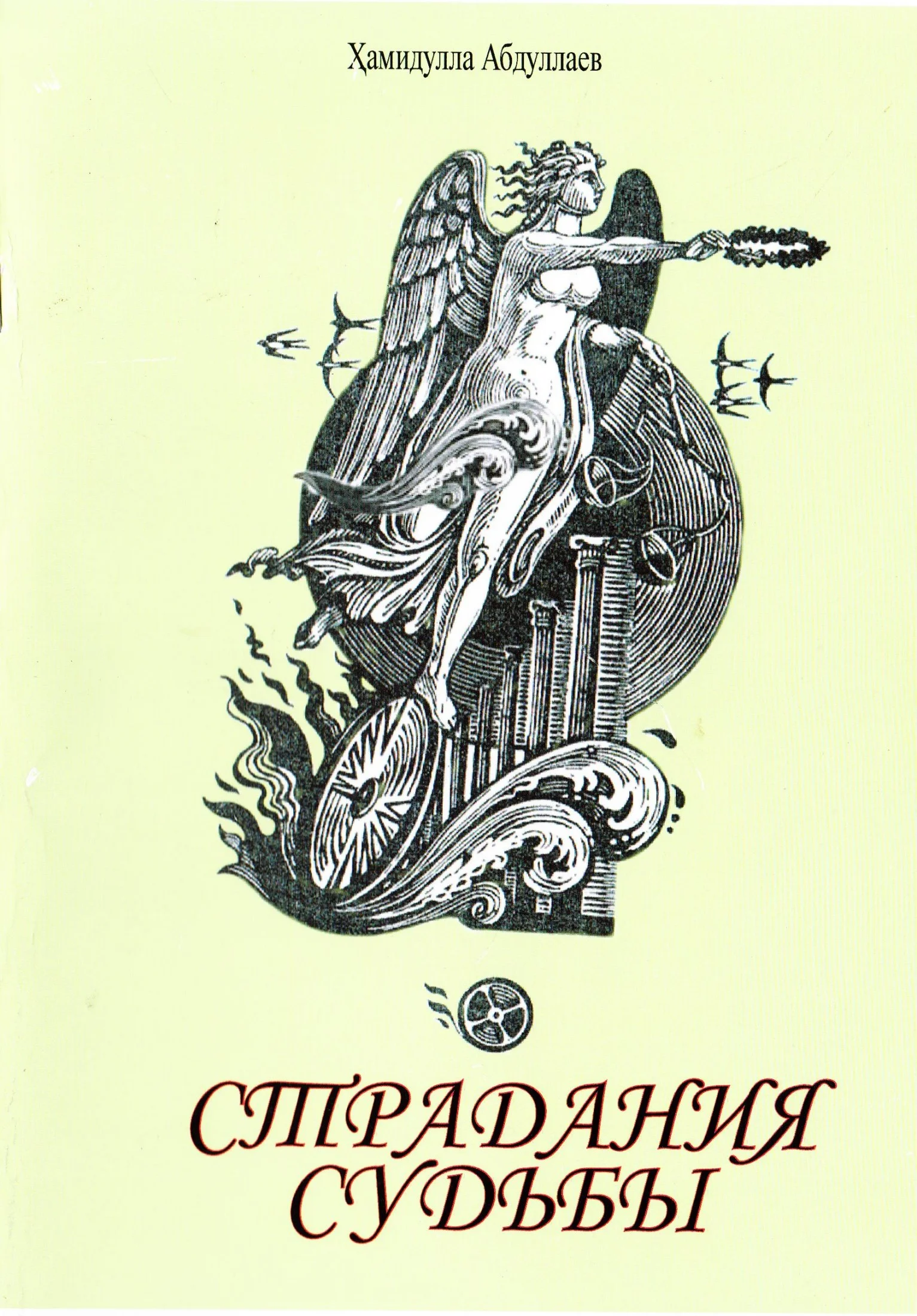 Обложка Страдания судьбы