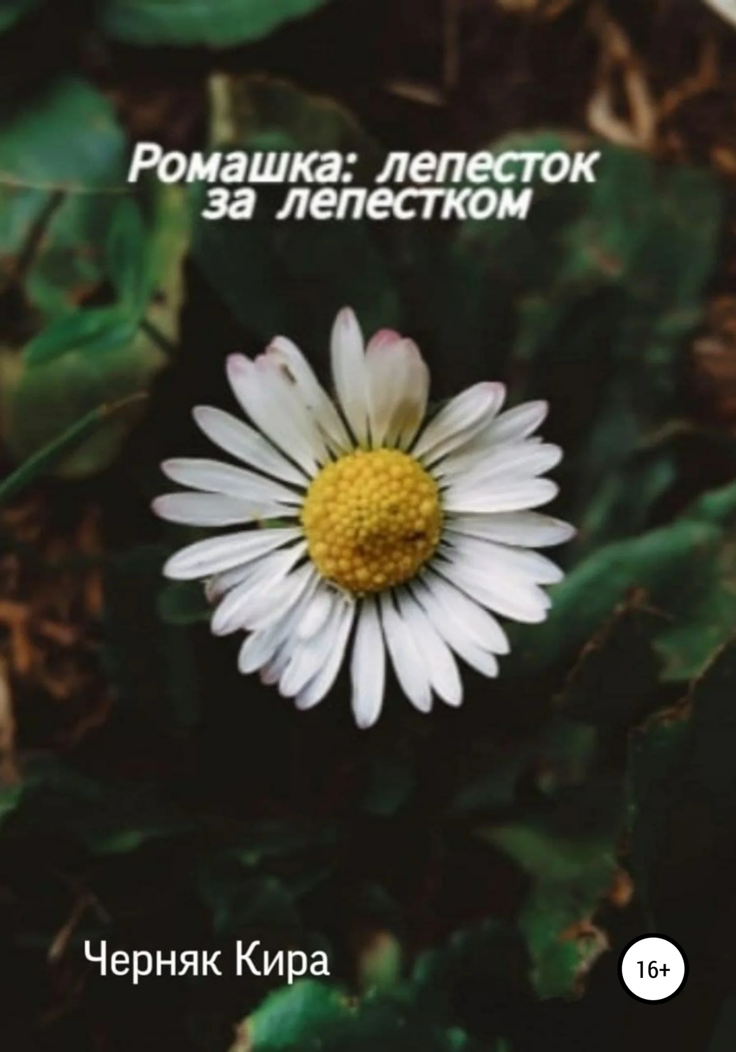 Обложка Ромашка: лепесток за лепестком