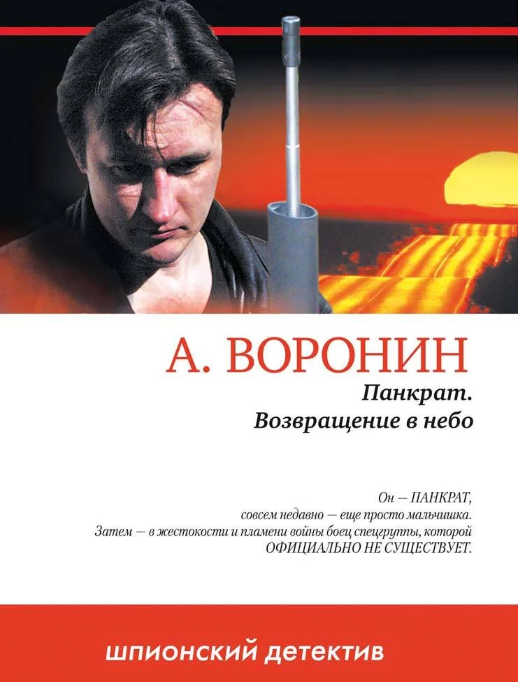 Обложка Возвращение в небо