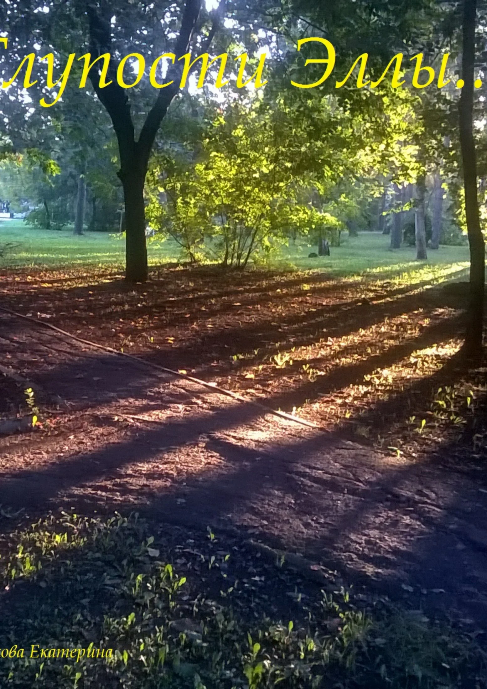 Обложка Глупости Эллы