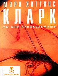 Обложка Ты мне принадлежишь