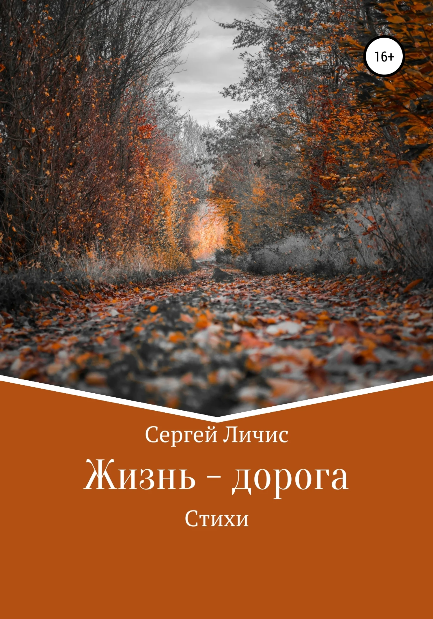 Обложка Жизнь – дорога