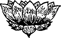 Обложка Шри Рамана Гита