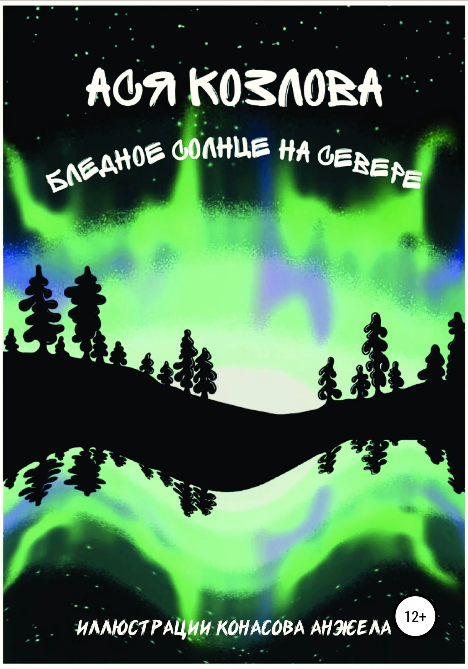 Обложка Бледное солнце на севере