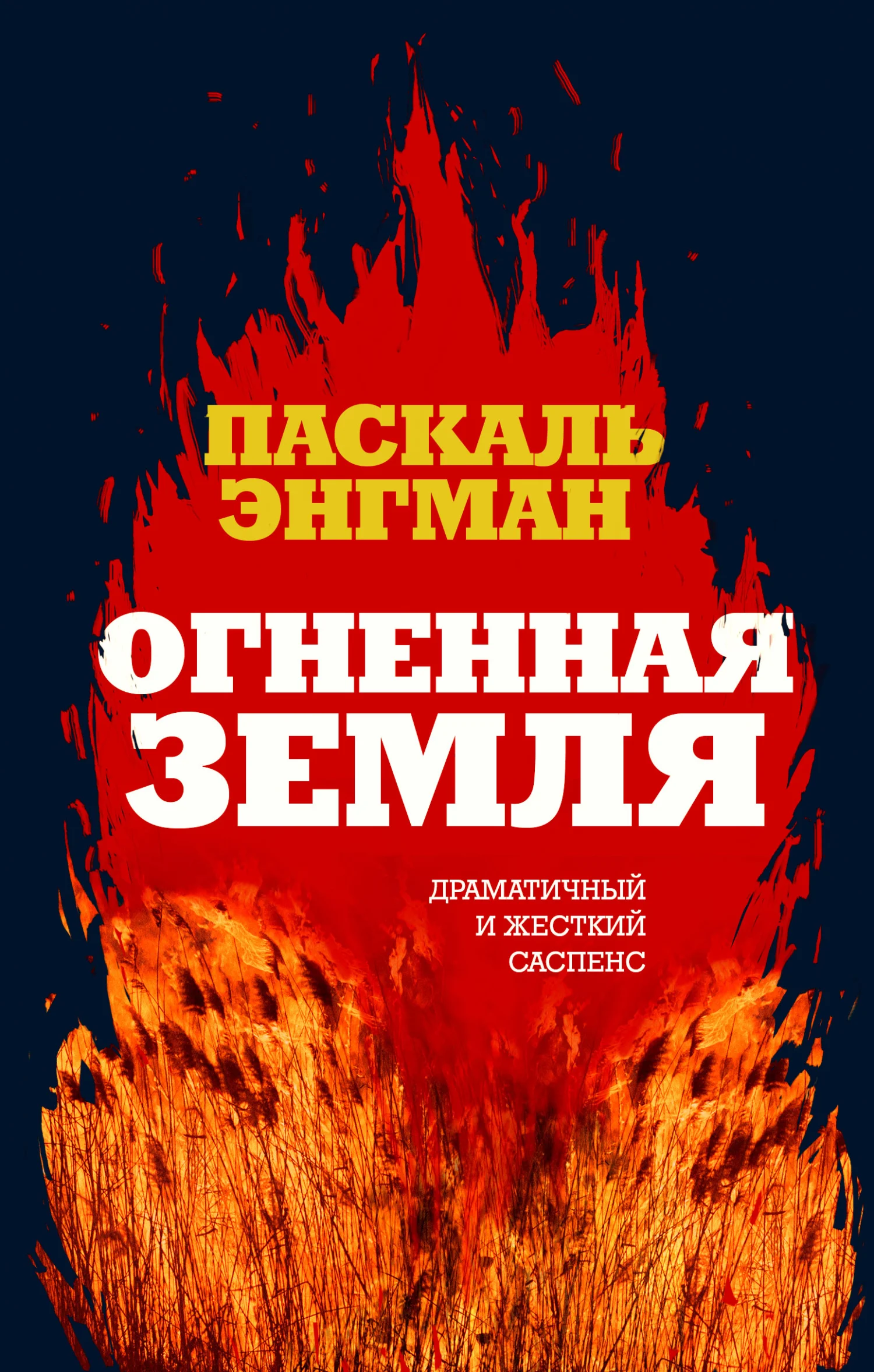 Обложка Огненная земля