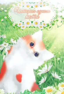 Обложка История одного кота