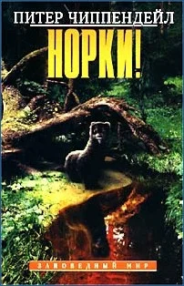 Обложка Норки!