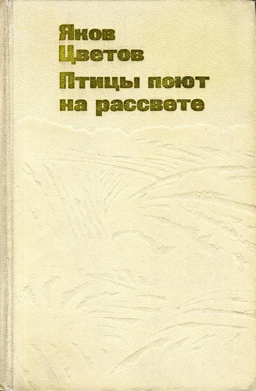 Обложка Птицы поют на рассвете