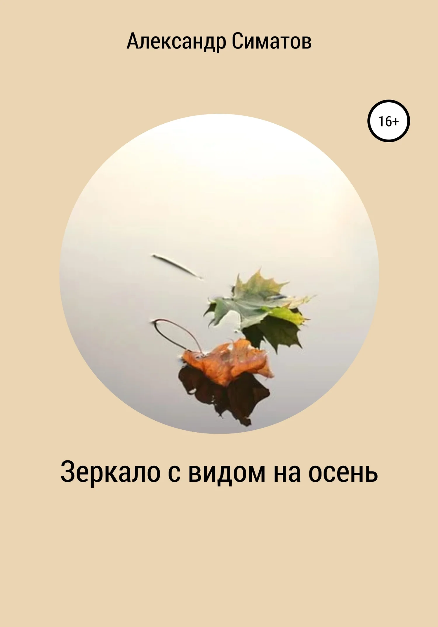 Обложка Зеркало с видом на осень