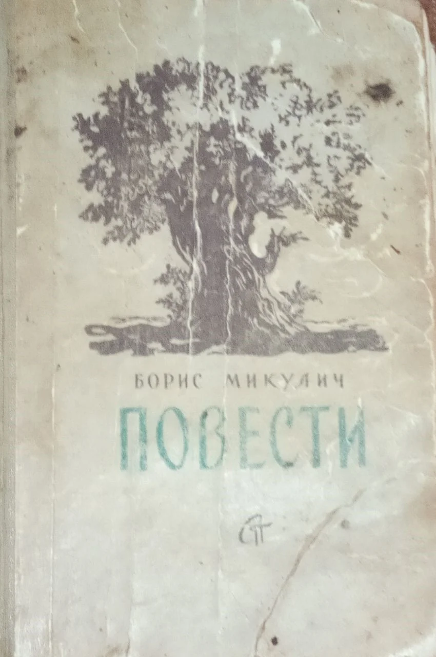 Обложка Жизнеописание Винцеся Шостака