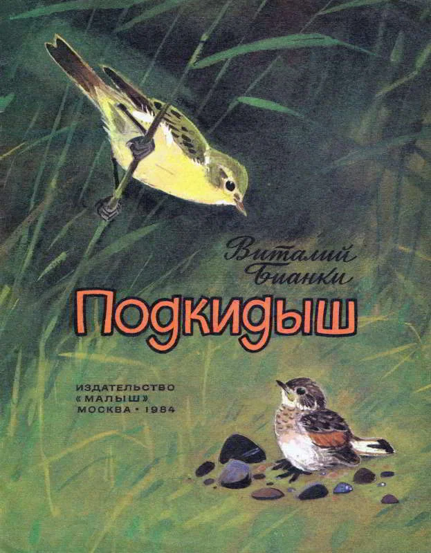 Обложка Подкидыш