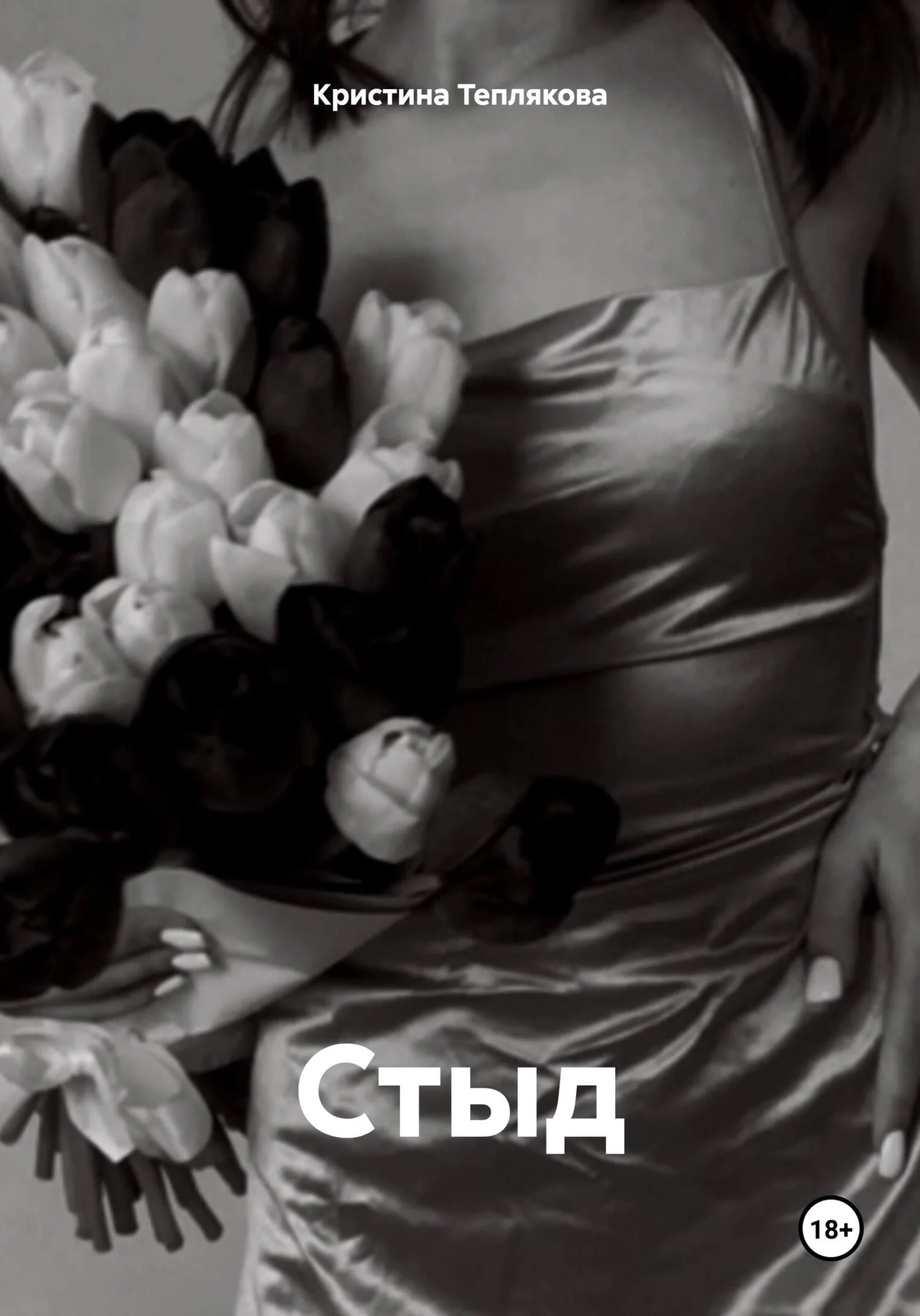 Обложка Стыд