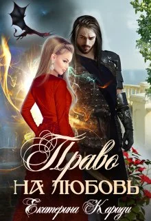 Обложка Право на любовь