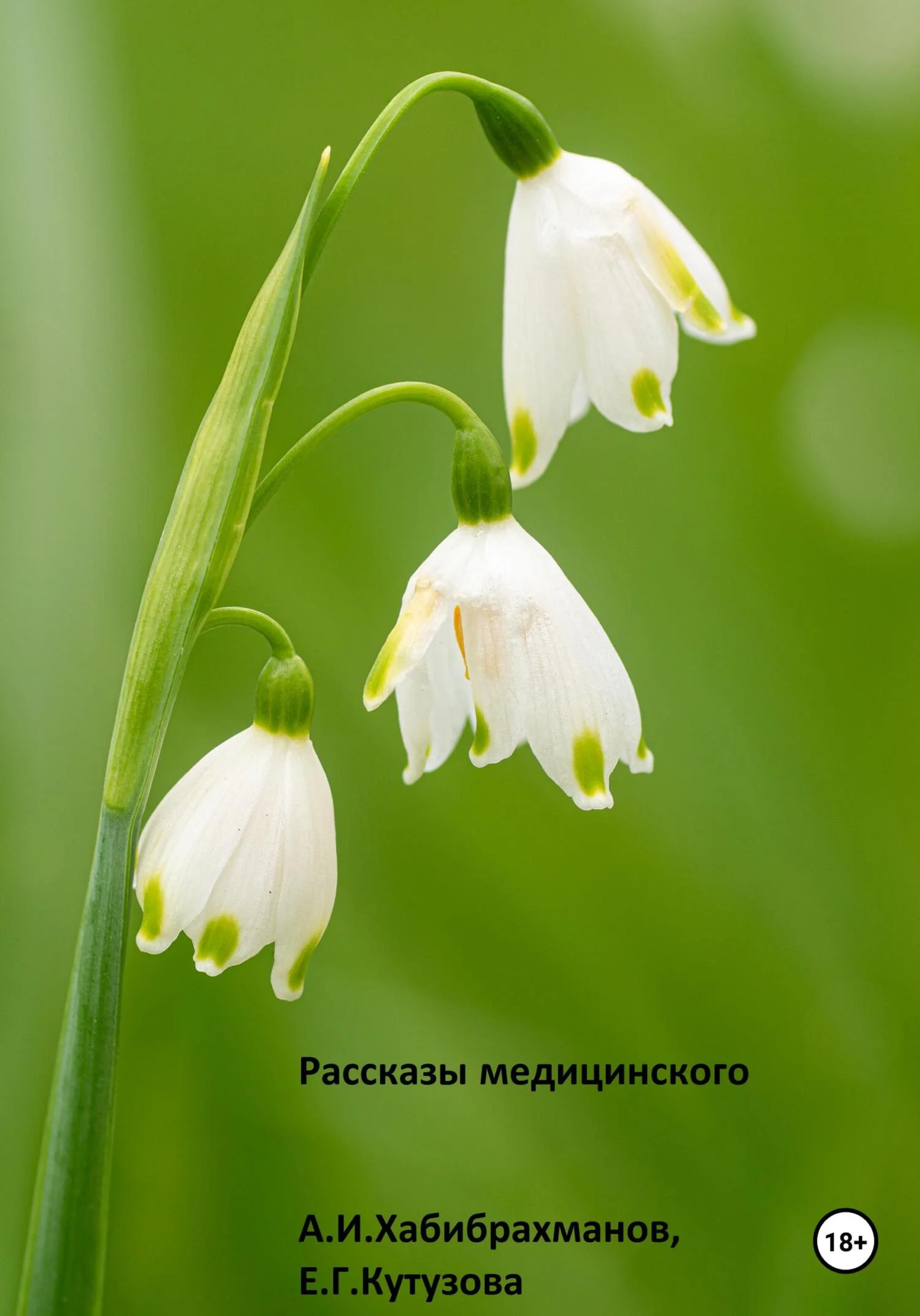 Обложка Рассказы медицинского