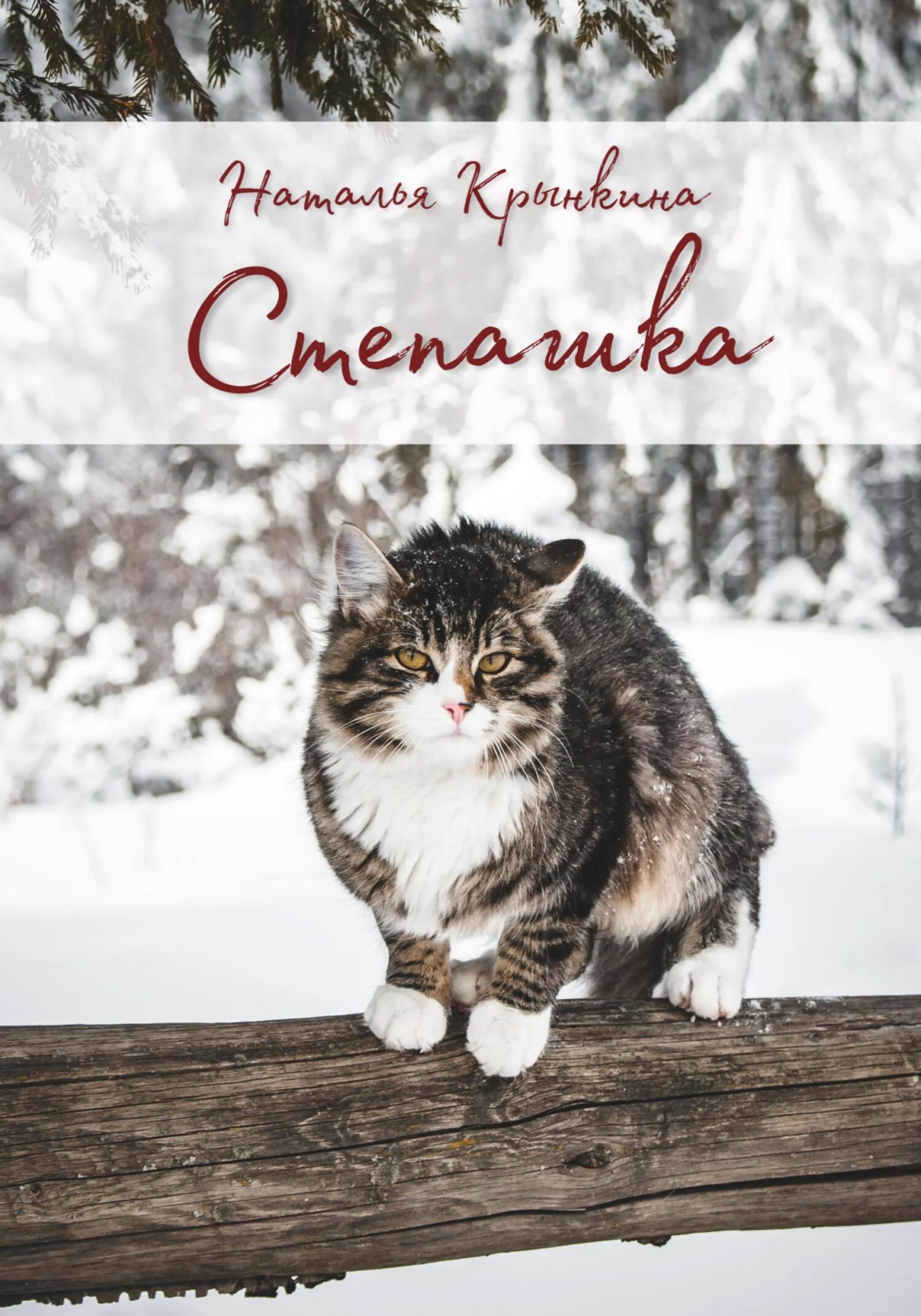 Обложка Степашка