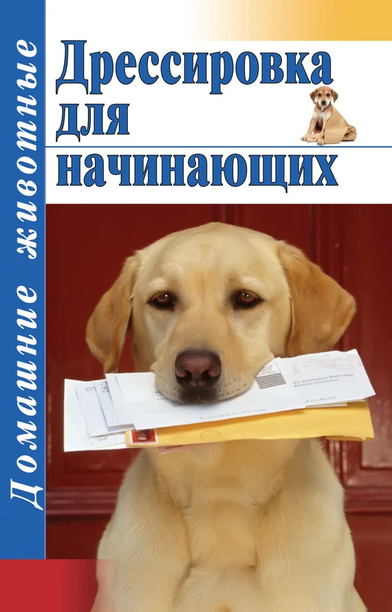 Обложка Дрессировка для начинающих