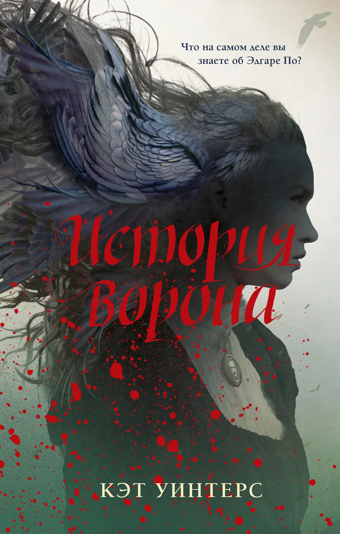 Обложка История ворона