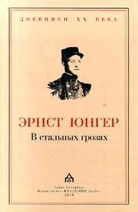 Обложка В стальных грозах