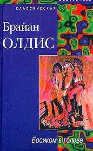 Обложка Босиком в голове