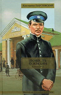 Обложка Повесть о жизни. Книги 4-6