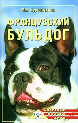 Обложка Французский бульдог