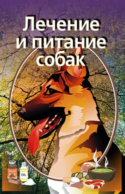 Обложка Лечение и питание собак