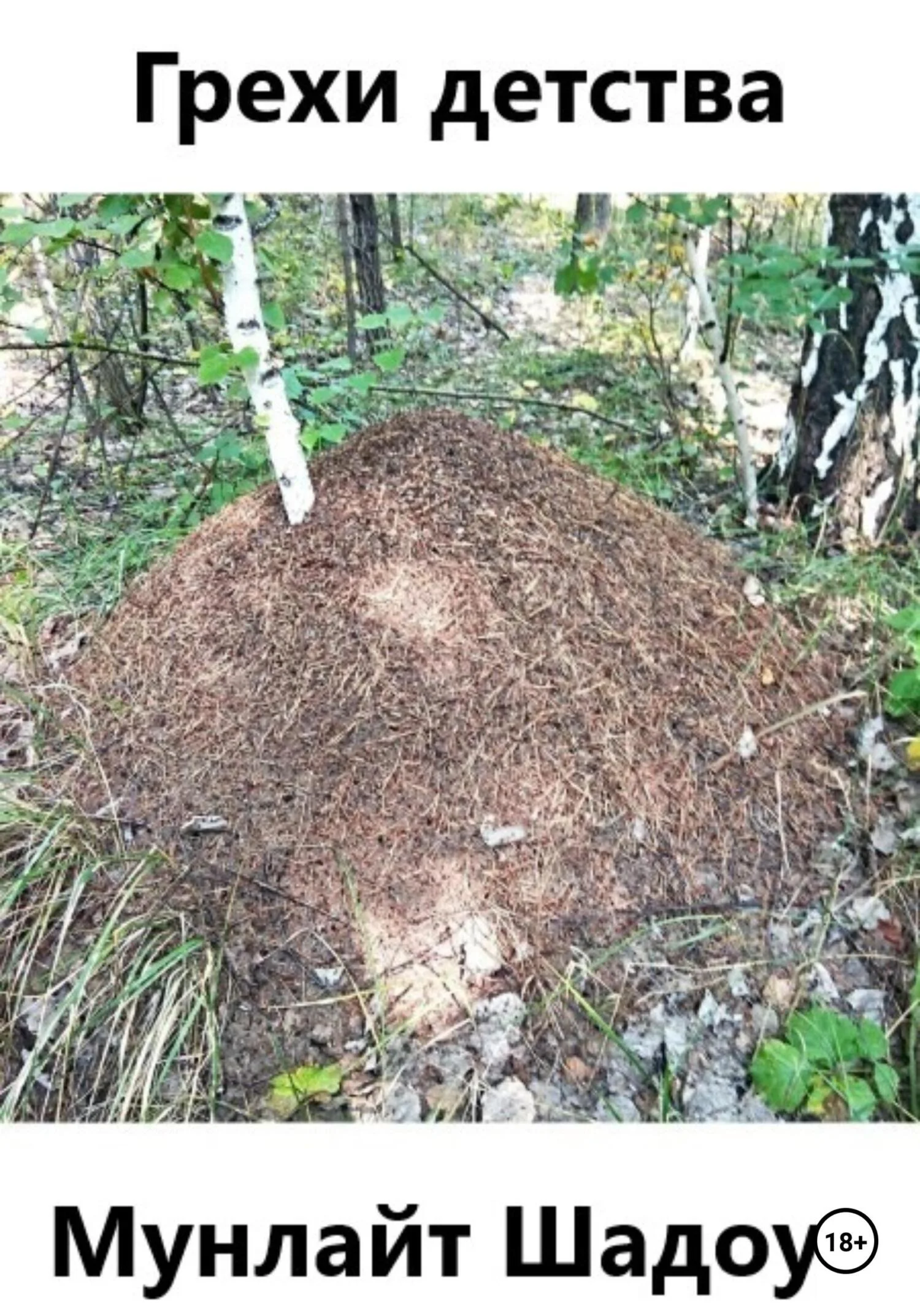 Обложка Грехи детства