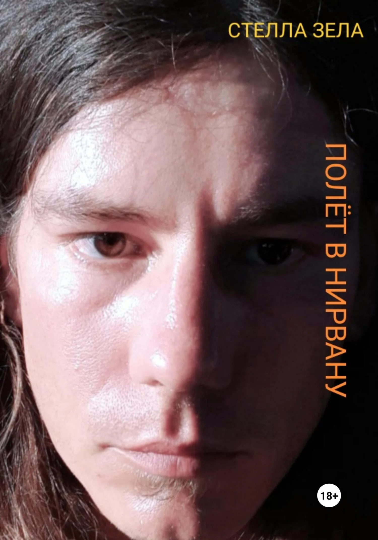 Обложка Полёт в нирвану