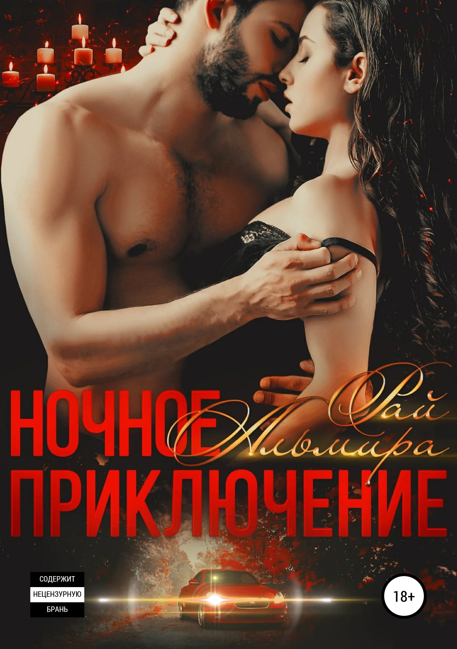 Обложка Ночное приключение