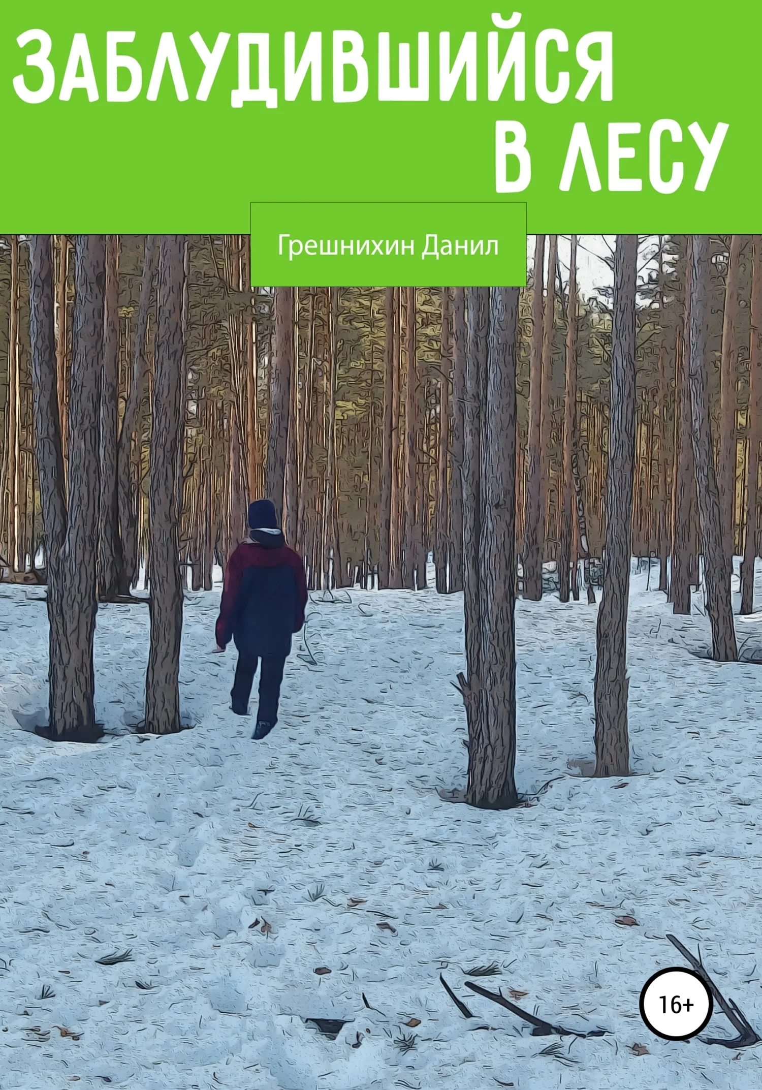 Обложка Заблудившийся в лесу