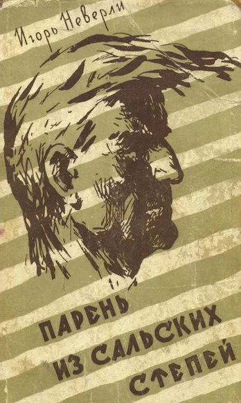 Обложка Парень из Сальских степей