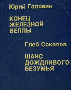 Обложка Шанс дождливого безумия