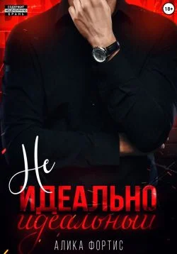 Обложка Не идеально идеальный