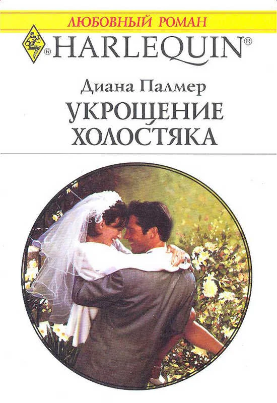 Обложка Укрощение холостяка