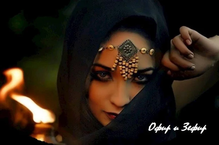 Обложка Офир и Зефир