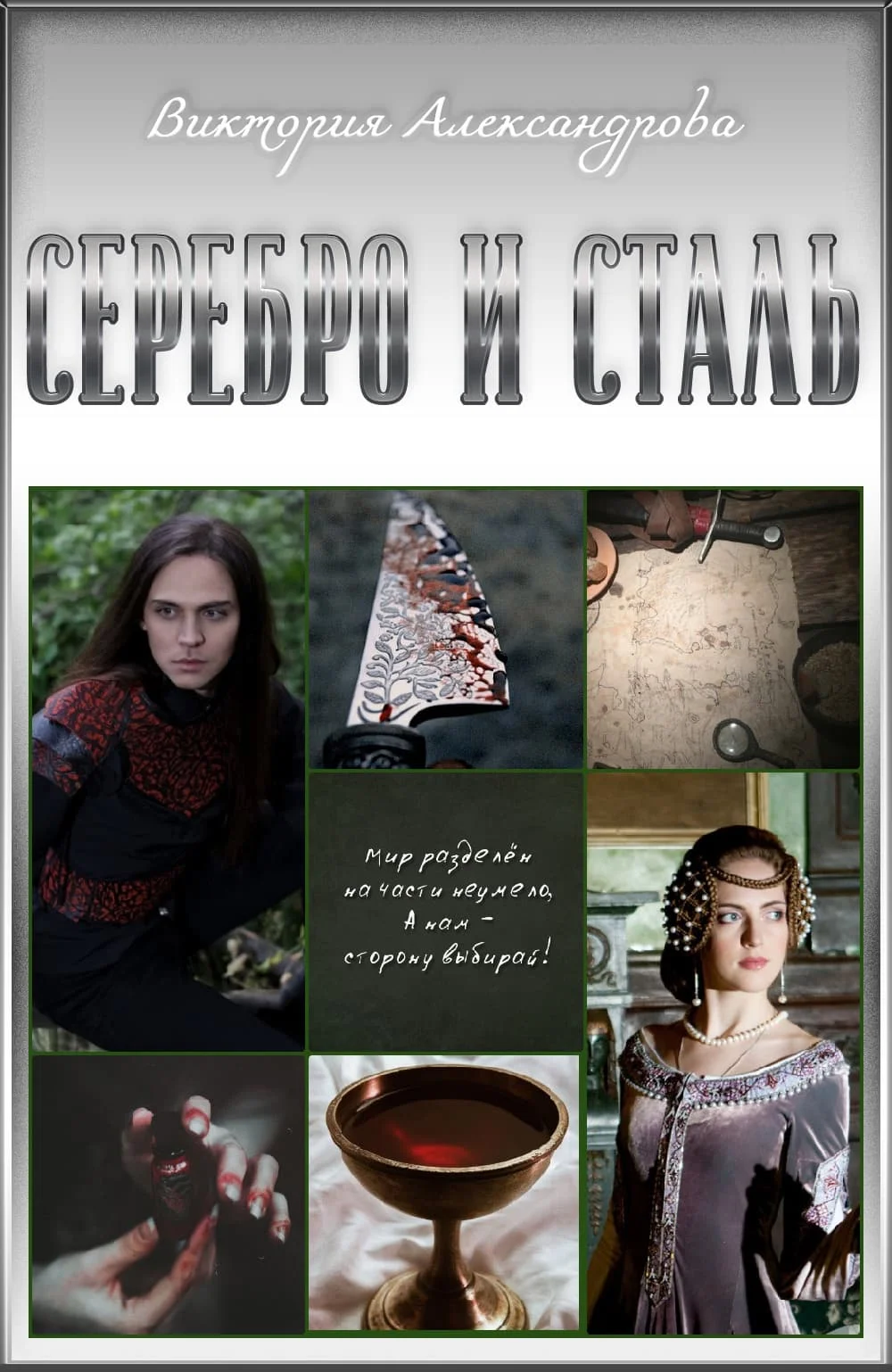 Обложка Серебро и сталь
