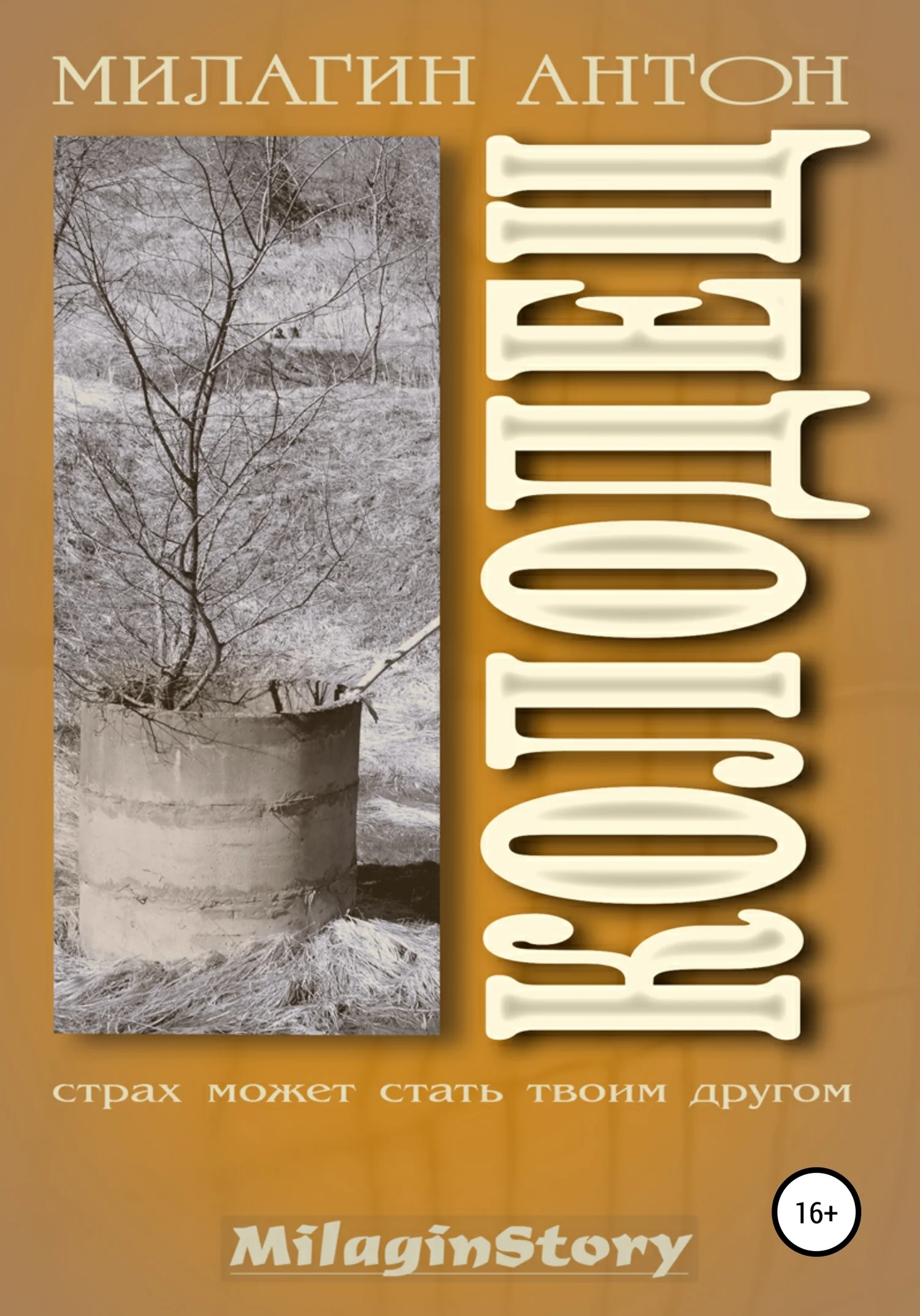 Обложка Колодец